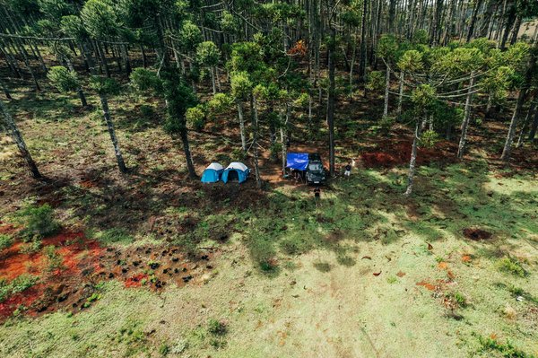 Les Nouvelles Politiques de Visa : Leurs Répercussions Sur les Voyages à l'Échelle Mondiale