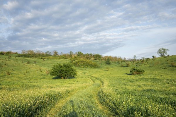 Planifier votre première croisière: un guide étape par étape